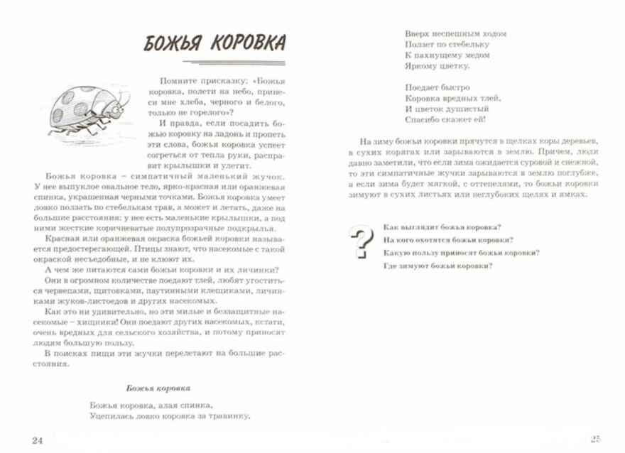 Насекомые. Какие они? Знакомство с окружающим миром. Развитие речи. А5, производитель Гном , ISBN 978-5-00160-557-7, № 2