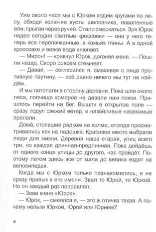 Детективы на каникулах. Детский детектив., производитель Проф-Пресс , ISBN 978-5-37834-799-5№ 2