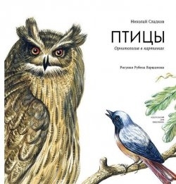 Птицы. Орнитология в картинках. Сладков Н., Варшамов Р. Пифагоровы штаны., производитель Издательский Дом Мещерякова, ISBN 978-5-91045-731-1, № 1