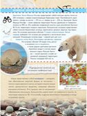 Уникальная Россия, производитель АСТ , ISBN 978-5-17157-808-4, № 6