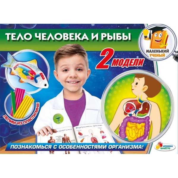 Опыты: тело человека  и рыбы, арт. TX-10011, производитель Симбат, ISBN 469-0-59015-208-9, № 1