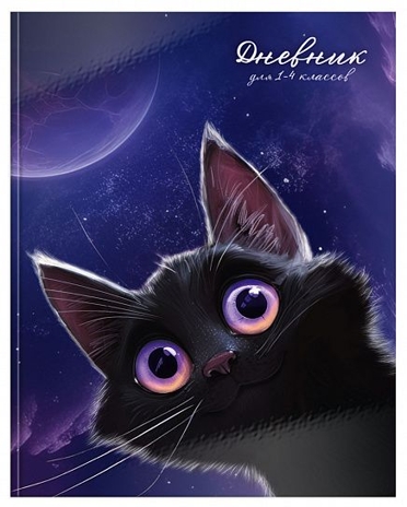 Дневник младших классов. 48 л. Игривый космокотик, арт. ДМТ-ИКК, производитель ФАРМ, ISBN 460-2-72319-329-6№ 1