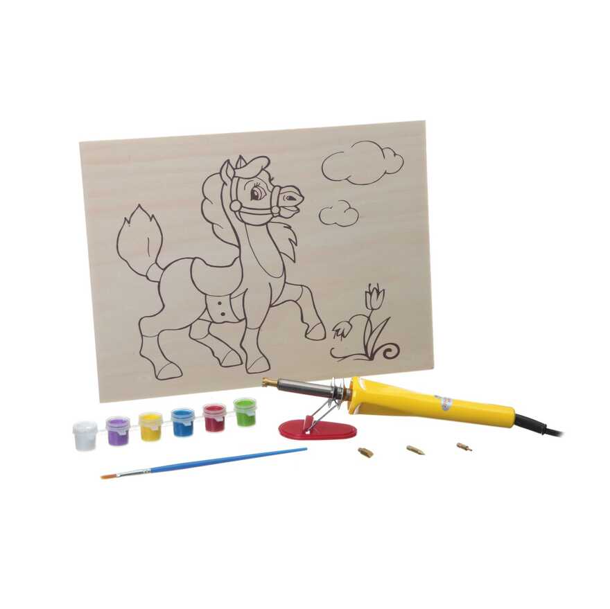 Французское творчество Досуг с Буки , Набор Выжигательный аппарат с дощечкой и красками, арт. ВВ1413, производитель Bondibon (Бондибон), ISBN 489-5-13601-314-9, № 3