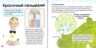 Научные опыты, производитель Новый Формат, ISBN 978-5-98971-048-5№ 2