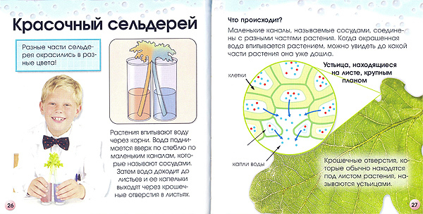 Научные опыты, производитель Новый Формат, ISBN 978-5-98971-048-5, № 2