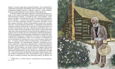 Золотой жук, производитель Махаон , ISBN 978-5-38922-000-3№ 6