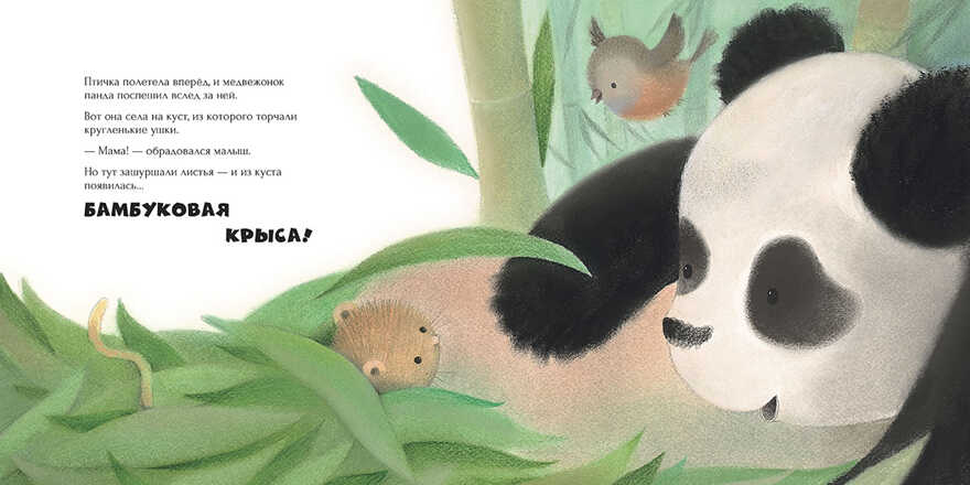 Малыш-панда потерялся, производитель АСТ Пресс , ISBN 978-5-90713-648-9, № 3