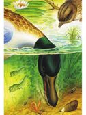 Чей нос лучше? Сказки и рассказы, производитель АСТ , ISBN 978-5-17150-688-9, № 12