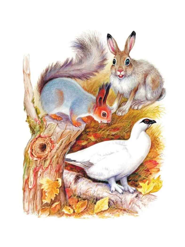 Чей нос лучше? Сказки и рассказы, производитель АСТ , ISBN 978-5-17150-688-9, № 3