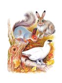 Чей нос лучше? Сказки и рассказы, производитель АСТ , ISBN 978-5-17150-688-9, № 3