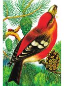 Чей нос лучше? Сказки и рассказы, производитель АСТ , ISBN 978-5-17150-688-9, № 7