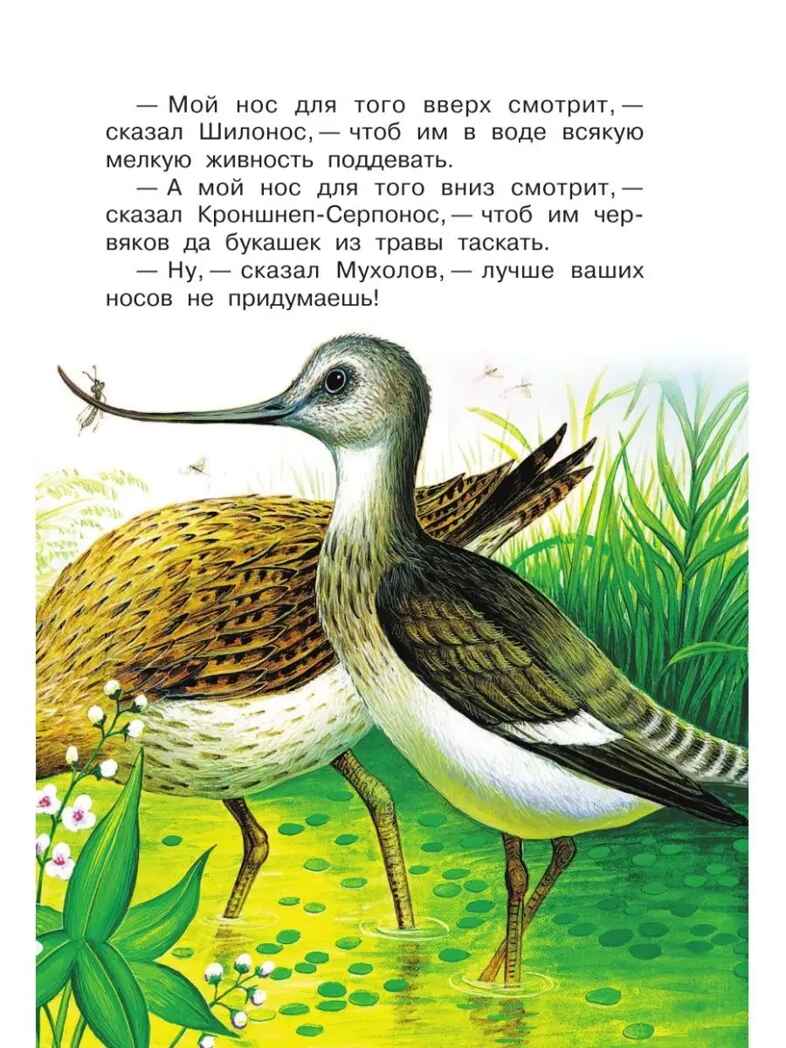 Чей нос лучше? Сказки и рассказы, производитель АСТ , ISBN 978-5-17150-688-9, № 10