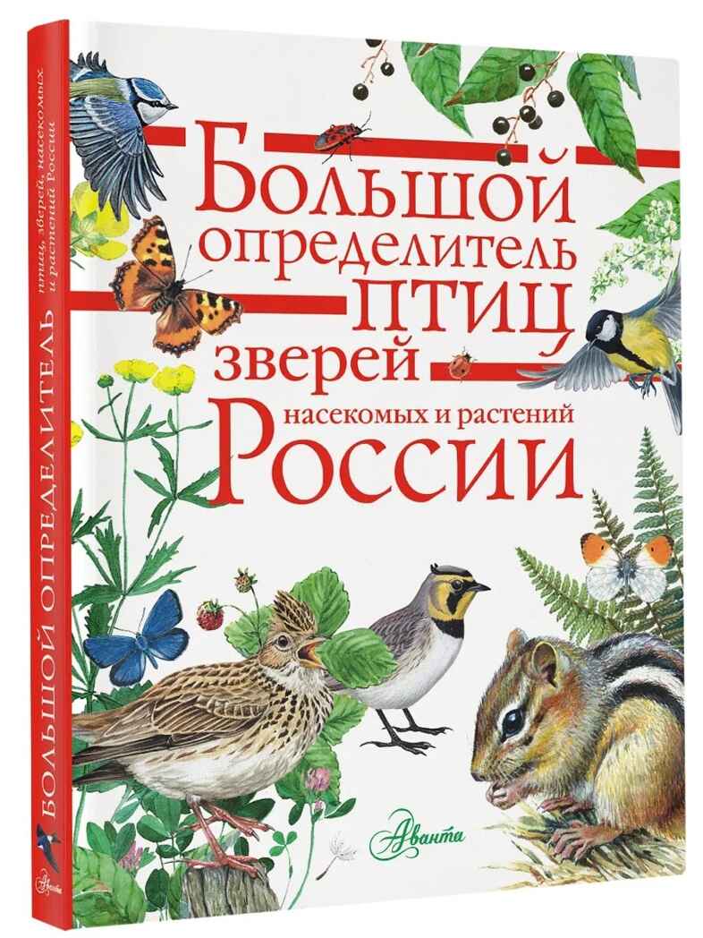 Большой определитель птиц, зверей, насекомых и растений России, производитель АСТ , ISBN 978-5-17102-152-8, № 1
