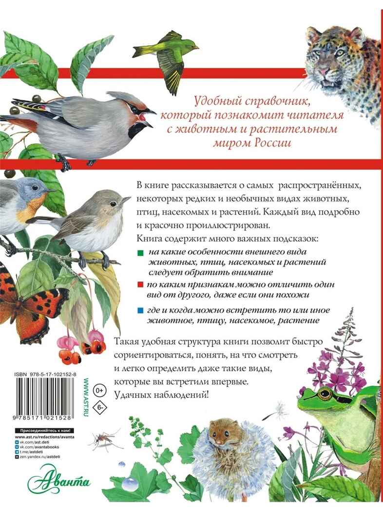 Большой определитель птиц, зверей, насекомых и растений России, производитель АСТ , ISBN 978-5-17102-152-8, № 12