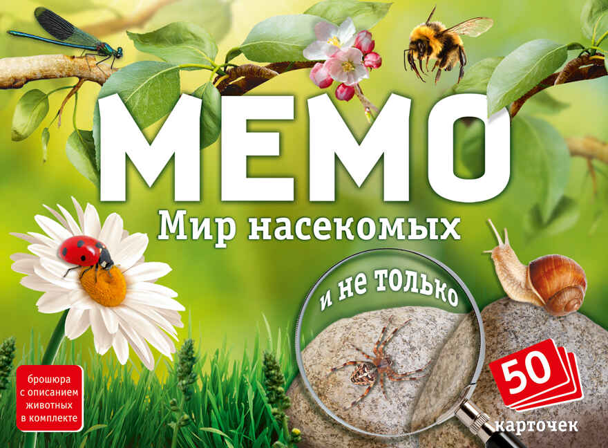 Мемо Мир насекомых и не только, арт.8577, производитель ТД БЭМБИ, ISBN 462-0-06536-564-5, № 3