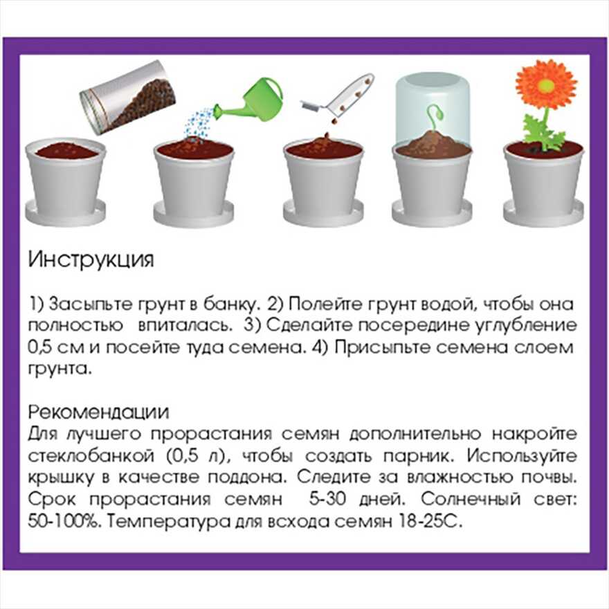Магнолия, арт. 2030, производитель Rostok visa, ISBN 460-7-13166-262-4, № 5
