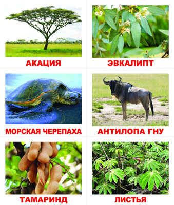 Лото. Кто что ест, производитель Вундеркинд с пелёнок, ISBN 461-2-73163-056-0№ 1