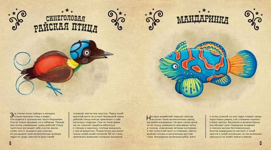 Чудо-животные. Странные, хитрые... Конечна С., Нова Я. Это очень интересно, производитель ЭНАС-КНИГА , ISBN 978-5-91921-990-3, № 3