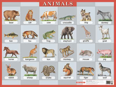 Наглядное пособие по английскому языку  &quot;Животные&quot; (&quot;Animals&quot;), производитель Айрис-пресс , ISBN 978-5-81124-026-5№ 1