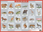 Наглядное пособие по английскому языку  &quot;Животные&quot; (&quot;Animals&quot;), производитель Айрис-пресс , ISBN 978-5-81124-026-5, № 1