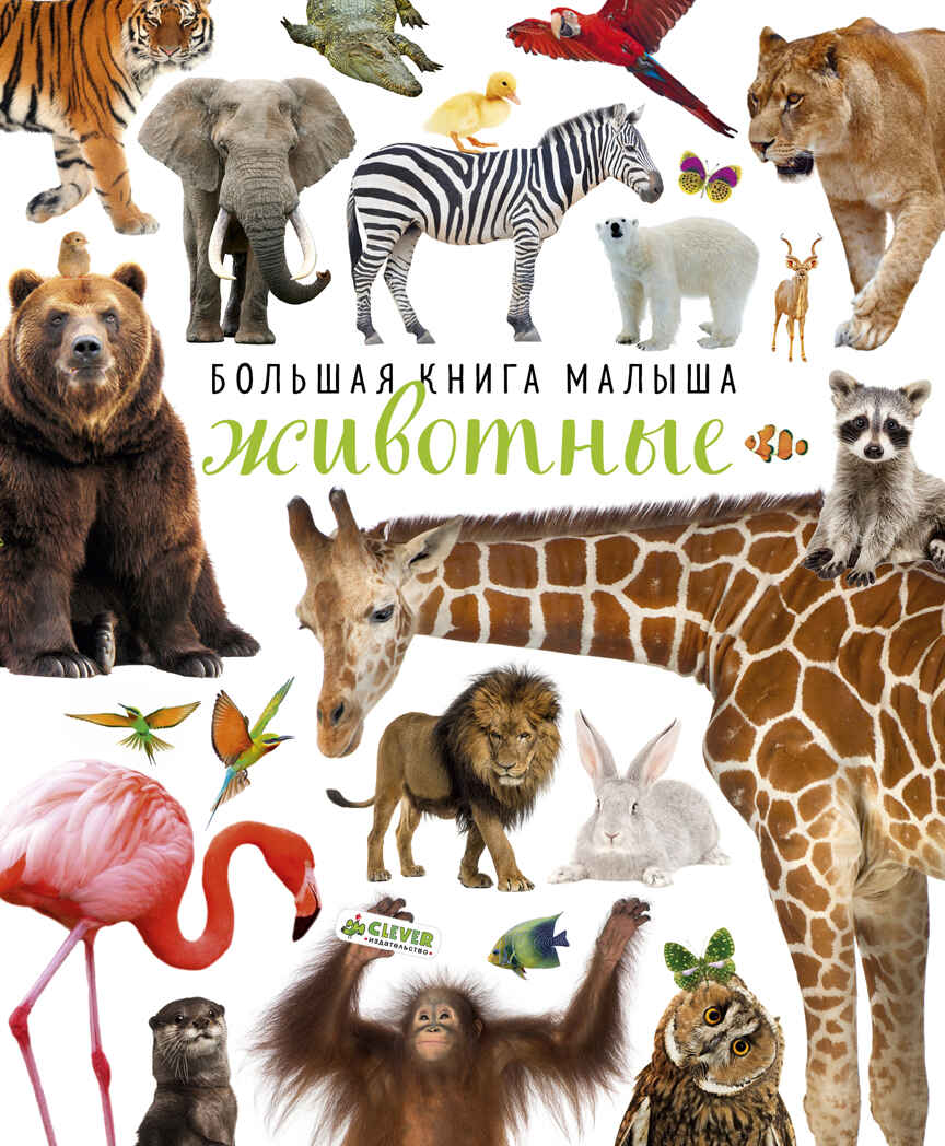 Животные. Большая книга малыша. Фотокниги, производитель Клевер (Clever) , ISBN 978-5-00115-273-6, № 1