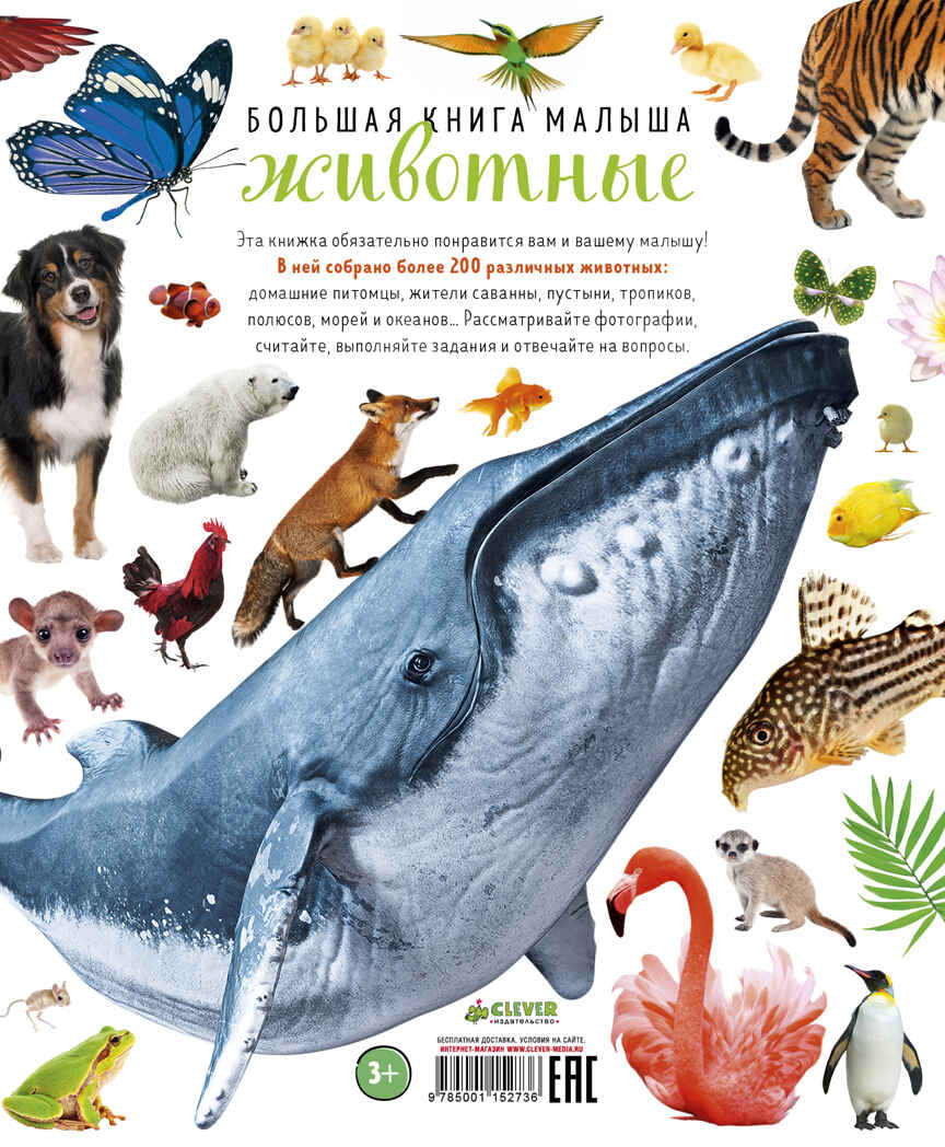 Животные. Большая книга малыша. Фотокниги, производитель Клевер (Clever) , ISBN 978-5-00115-273-6, № 2