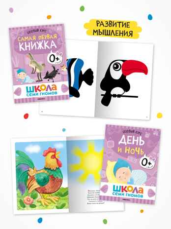 Годовой базовый курс. Комплект 0+ (Школа Семи Гномов. Базовый курс), 12 книг + развивающие материалы, производитель МОЗАИКА kids , ISBN 978-5-43154-053-0№ 5