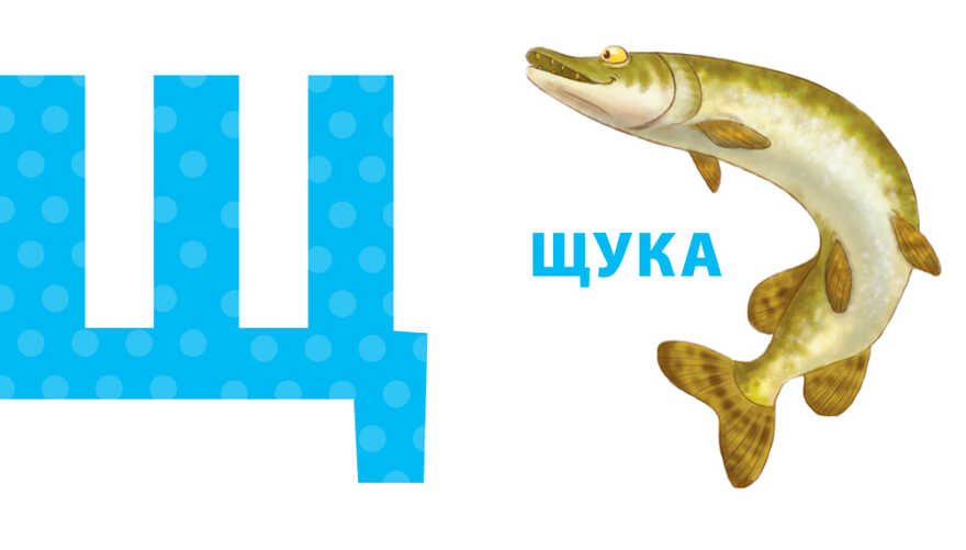 Азбукашка. Буквы. Слоги. Слова. 9 книжек-кубиков, производитель Робинс , ISBN 978-5-43660-328-5, № 4