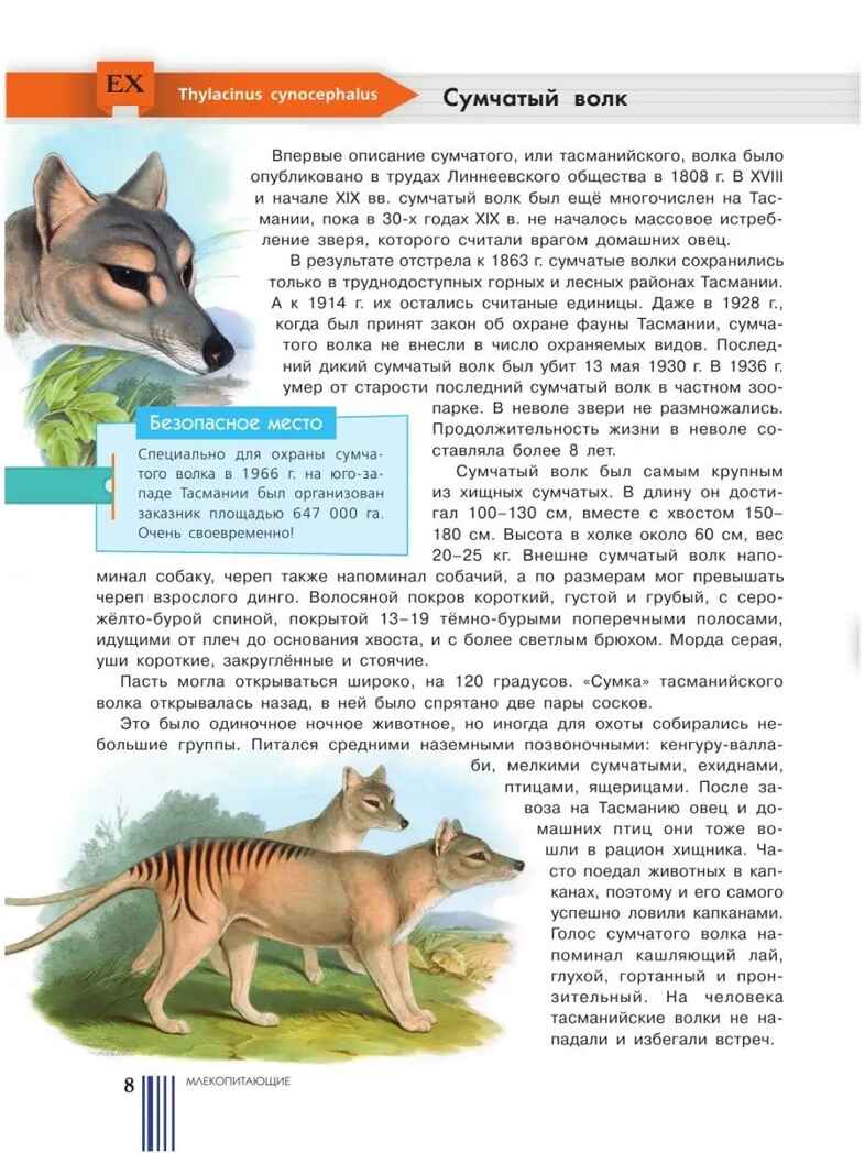 Красная книга мира. Пескова И.М., Молюков М.И. Красная книга нашей планеты, производитель АСТ , ISBN 978-5-17113-179-1, № 9
