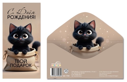 КДС-17806 Конверт для денег на склейке. С Днём рождения! Твой подарок (унисекс, котенок), производитель Сфера ТЦ , ISBN 461-0-56339-069-0, № 1