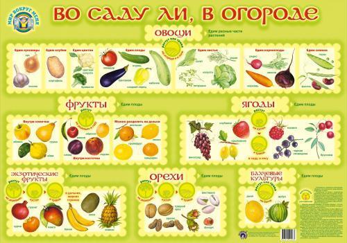 Плакат &quot;Во саду ли, в огороде&quot;, производитель Маленький Гений-Пресс , ISBN 460-7-05409-028-3, № 1