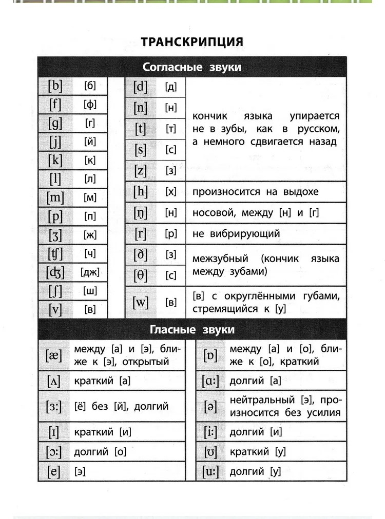 Тетрадь для записи английских слов в начальной школе (Капибары на самокате), производитель Айрис-пресс , ISBN 465-0-38821-141-1, № 3