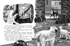 Имя для друга, производитель «Феникс-Премьер», ISBN 978-5-22238-940-9, № 3