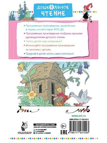 Чудесное путешествие Нильса с дикими гусями, производитель АСТ , ISBN 978-5-17153-142-3№ 2