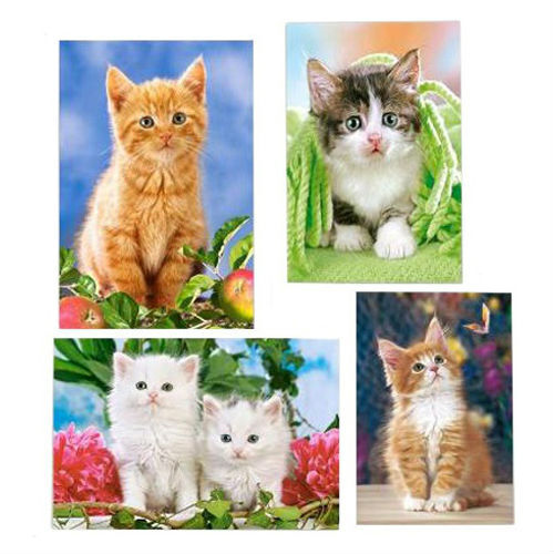 Пазлы MINI Кошки (CastorLand) 120 элементов, арт. 2244/С, производитель Castorland (Касторленд), ISBN 200-0-99495-579-7, № 1