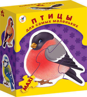 ДСМ &quot;Птицы&quot;, производитель Дрофа-медиа, ISBN 460-7-14735-947-1, № 1