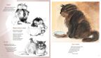 Полное собрание котов (илл. В. Чижикова), производитель Махаон , ISBN 978-5-38925-122-9, № 6