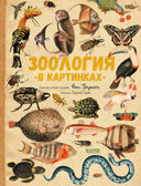 Удивительные энциклопедии. Зоология в картинках 8362, производитель Клевер (Clever) , ISBN 978-5-00154-836-2, № 1