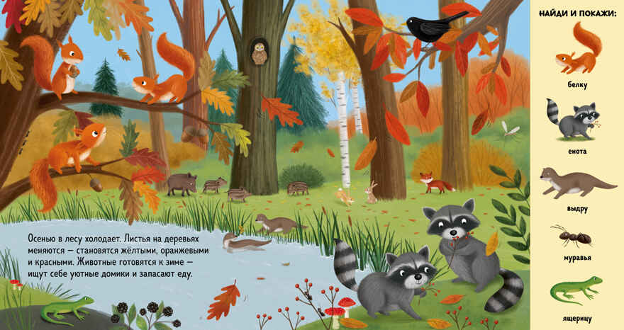 Найди и покажи. Животные в лесу, производитель Клевер (Clever) , ISBN 978-5-00252-280-4, № 5