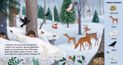 Найди и покажи. Животные в лесу, производитель Клевер (Clever) , ISBN 978-5-00252-280-4№ 6