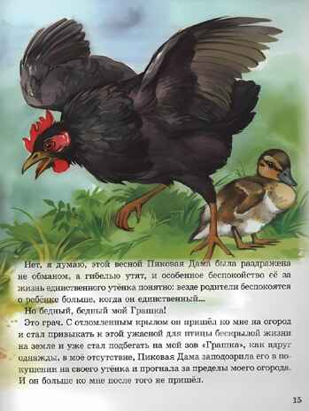Михаил Пришвин. Рассказы о животных малышам. Любимые сказки. Подарочные, производитель Проф-Пресс , ISBN 978-5-37801-252-7№ 3