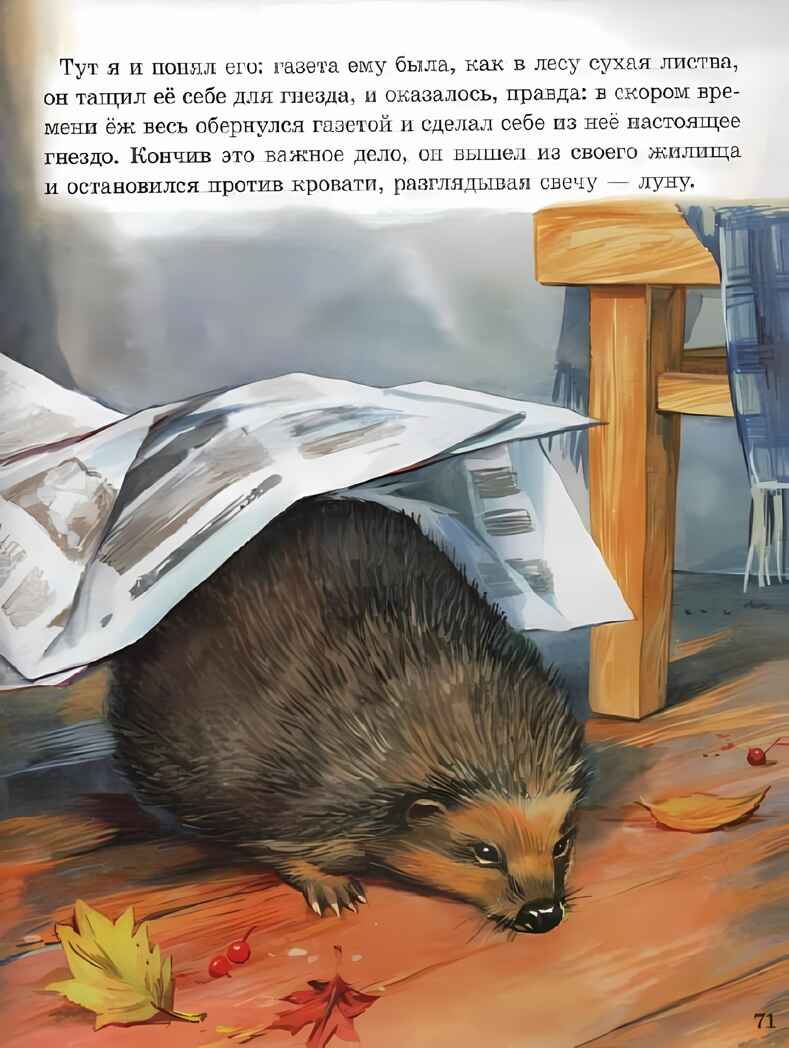 Михаил Пришвин. Рассказы о животных малышам. Любимые сказки. Подарочные, производитель Проф-Пресс , ISBN 978-5-37801-252-7, № 5