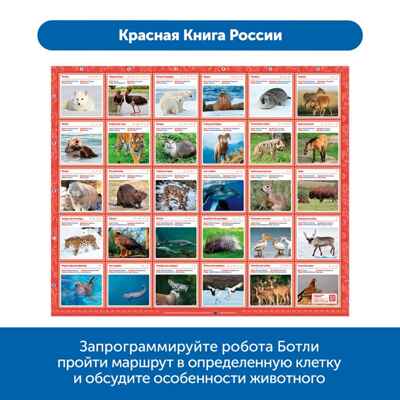 Комплект тематических полей Чудеса России с роботом Ботли (5 элементов), арт. rb5001, производитель Learning Resources, ISBN 200-7-36723-103-8№ 2