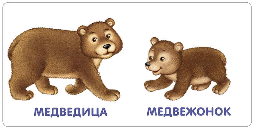 Книжки - картонки. Животные и детеныши. Моя самая первая книжка, производитель Робинс , ISBN 978-5-43660-556-2, № 2