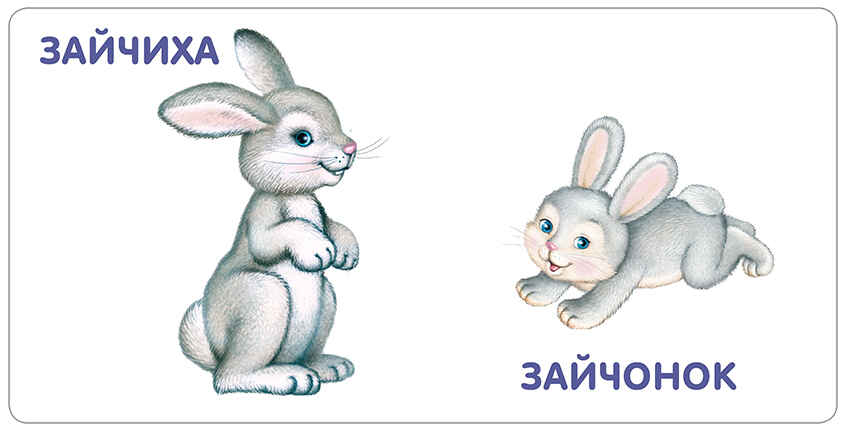 Книжки - картонки. Животные и детеныши. Моя самая первая книжка, производитель Робинс , ISBN 978-5-43660-556-2, № 4