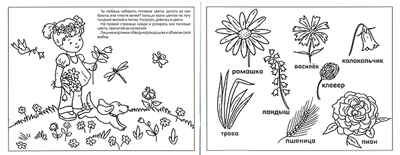 Растения, производитель МОЗАИКА kids , ISBN 978-5-86775-823-3№ 2