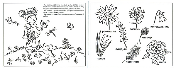 Растения, производитель МОЗАИКА kids , ISBN 978-5-86775-823-3, № 2