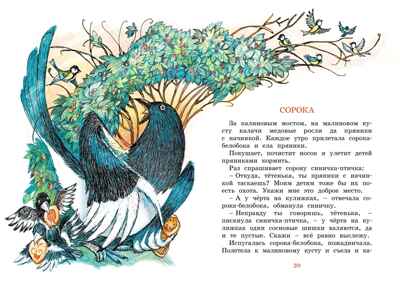 Сорочьи сказки Толстой А.Н. Яркая ленточка, производитель Махаон , ISBN 978-5-38921-357-9№ 5