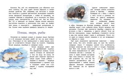 Арктика. Ледяная шапка Земли. Хельга Патаки. Настя и Никита, производитель Настя и Никита , ISBN 978-5-90795-379-6 № 5