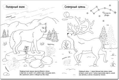 new Раскрась Россию. Набор из 2 книг., производитель МОЗАИКА kids , ISBN 978-5-43151-765-5№ 3
